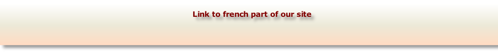 Link to french part of our site